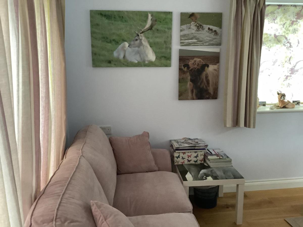 Exmoor Retreat On Two Moors Way Withypool Exteriör bild