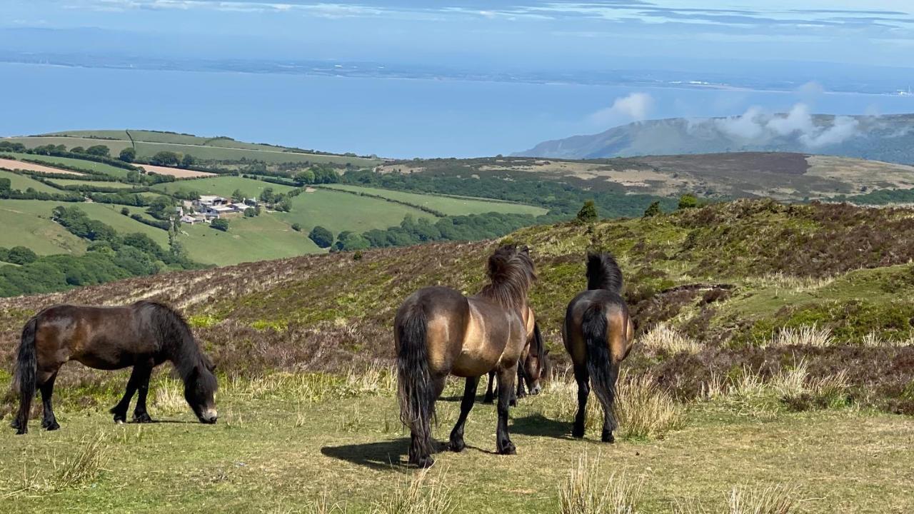 Exmoor Retreat On Two Moors Way Withypool Exteriör bild